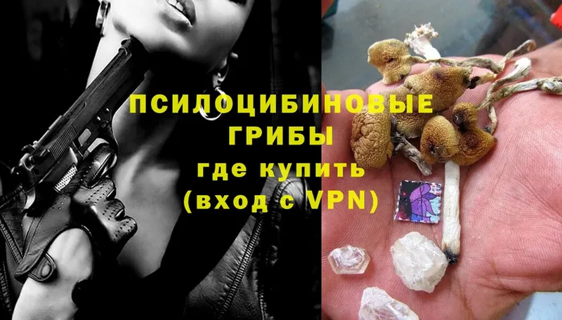 Псилоцибиновые грибы Magic Shrooms  Белоярский 